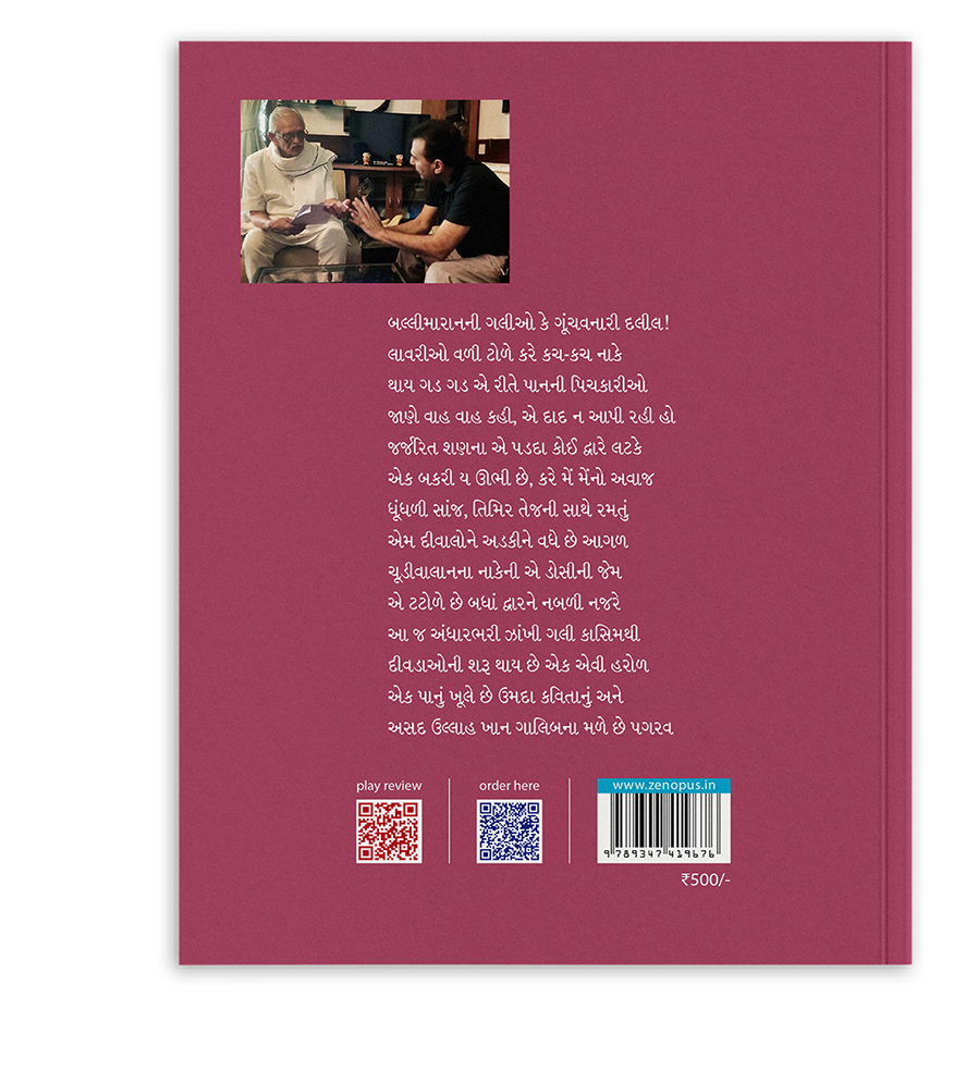 મિર્ઝા ગાલીબ - એક વીતક, એક કથાનક